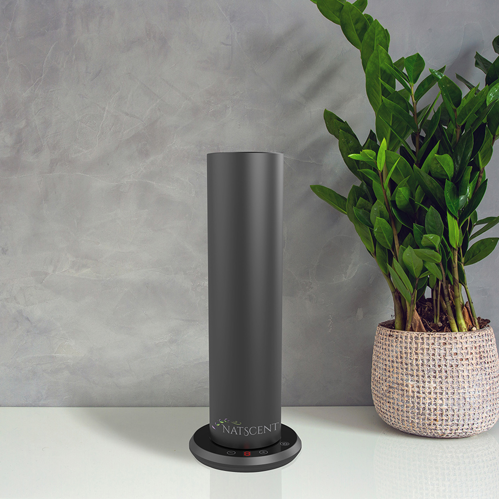 Dynamo | Natscent at Home